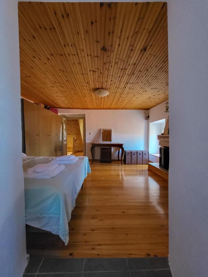 Παραδοσιακό Σπίτι Με Θέα Villa Tríkeri Екстериор снимка