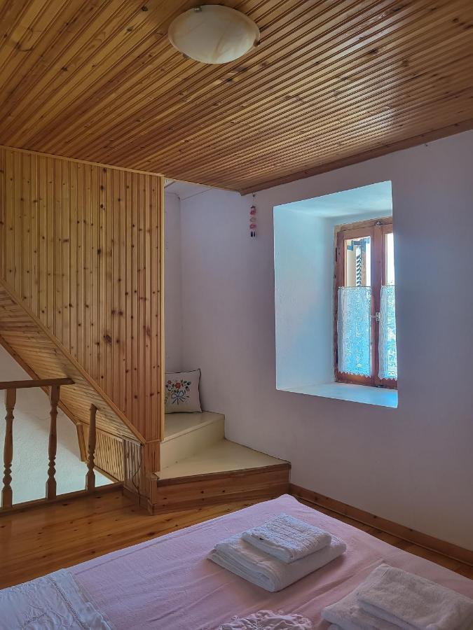 Παραδοσιακό Σπίτι Με Θέα Villa Tríkeri Екстериор снимка